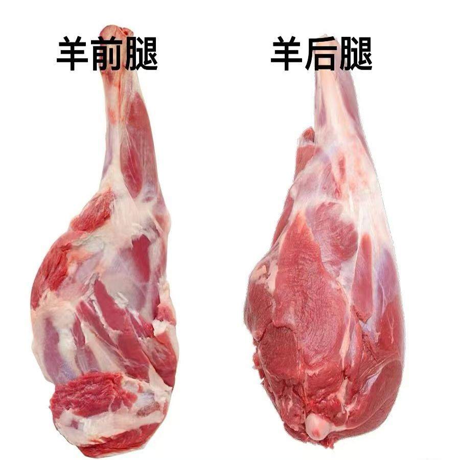 青海高原草膘短尾巴羊牦牛新鲜青海草原放养西藏耗牛羊肉生鲜散养