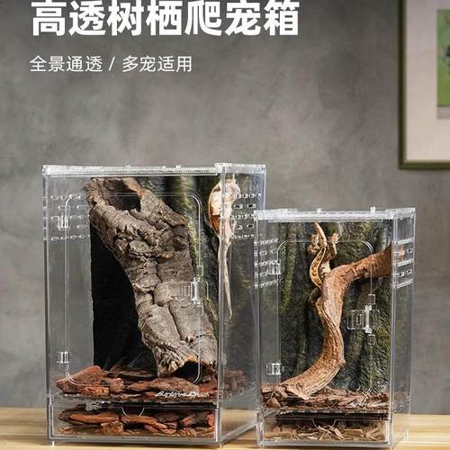 亚克力树栖饲养箱睫角姥爷造景缸