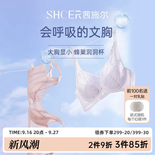 茜施尔薄款性感聚拢大胸显小内衣