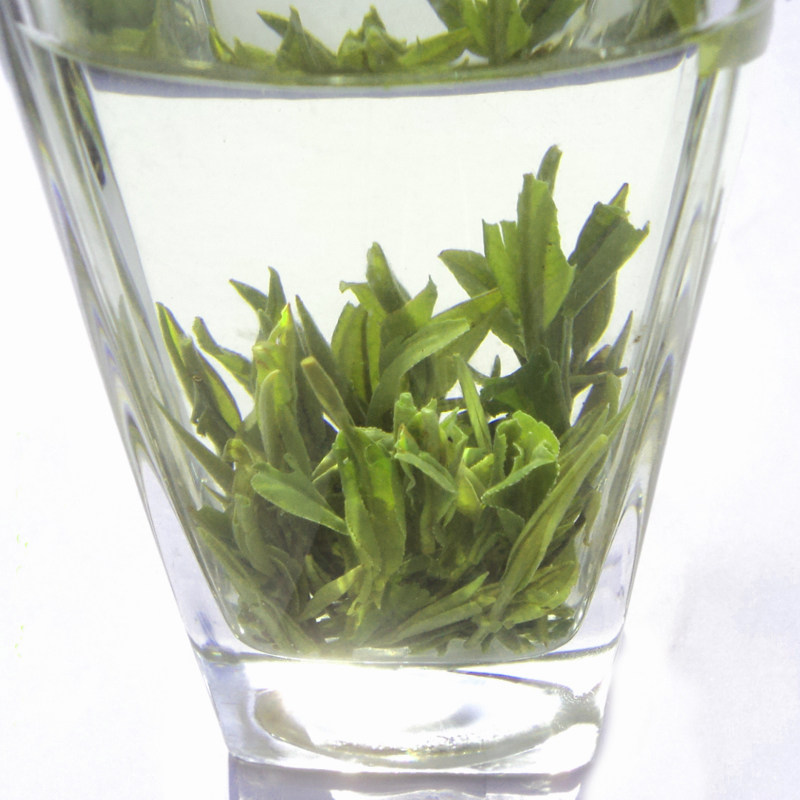 安徽绿茶高山茶黄花云尖产地 宁国 板桥 野兰香茶叶2023明前新茶