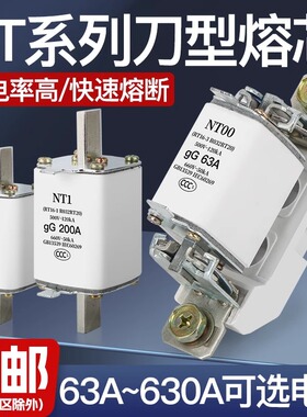 熔芯NT00熔断器NT1保险丝NT2低压熔断丝NT3底座RT36RT16刀型触头