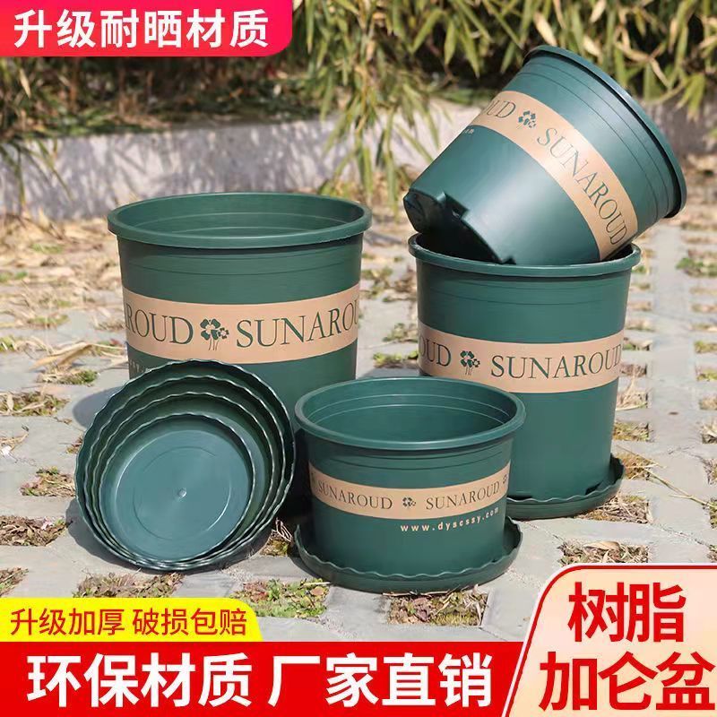 花盆盆家用塑料加厚阳台盆景多肉加仑盆绿萝专用盆栽月季草莓