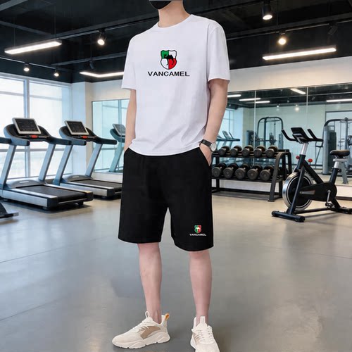 西域骆驼夏季短袖T恤运动套装男
