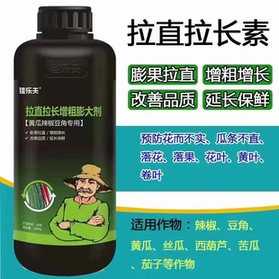 辣椒膨大拉直素拉直拉长素叶肥辣椒豆角茄子膨大素丝瓜苦瓜西葫芦