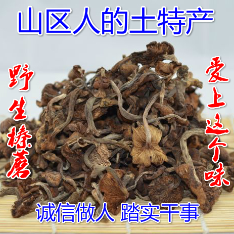 新 东北 野生 榛蘑 小鸡炖蘑菇 美味极了长白山榛蘑 250g 粮油调味/速食/干货/烘焙 香菇类 原图主图