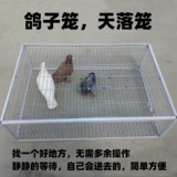 Tianlu Cage Outdoor Toursing Roof Factory Recycling Guyeon Cage Living Pigeon Auto Gate Введите артефакт голубь