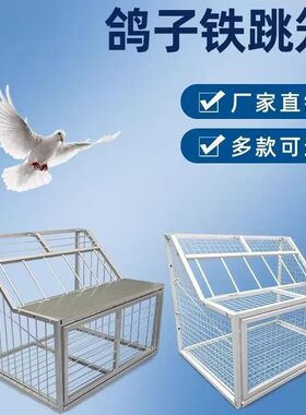 跳笼鸽子正品鸽子跳笼只进不出