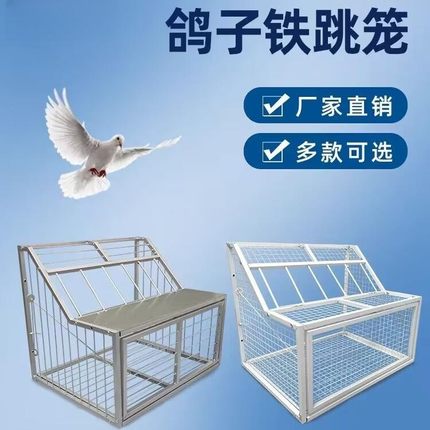 鸽子跳笼只进不出跳门鸽舍平台踏板进口放飞门防鼠猫信鸽用品用具