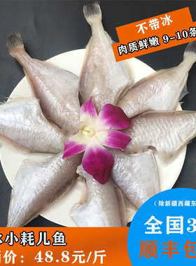 耗儿鱼冰鲜小号马面鱼 剥皮鱼 500克 四川火锅食材冷冻生鲜附薄冰