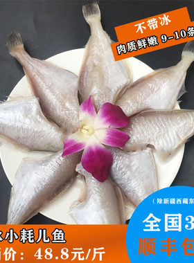 耗儿鱼冰少冷冻生鲜四川火锅食材