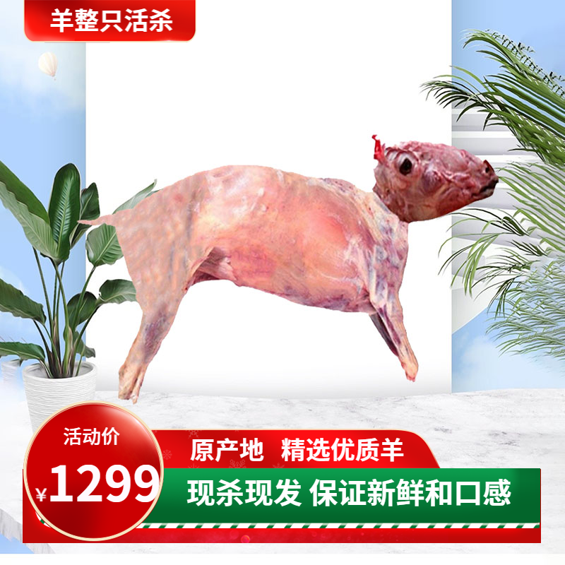 一整只烤全羊带头27斤活羊现杀去皮羊羔羊羊肉生鲜半成品食材包邮