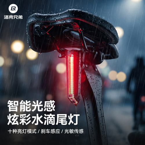 洛克兄弟智能感应自行车尾灯
