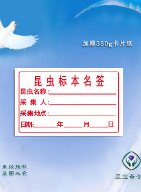 昆虫标本名签 昆虫定名签 台纸标签 标本夹 捕虫网 昆虫针