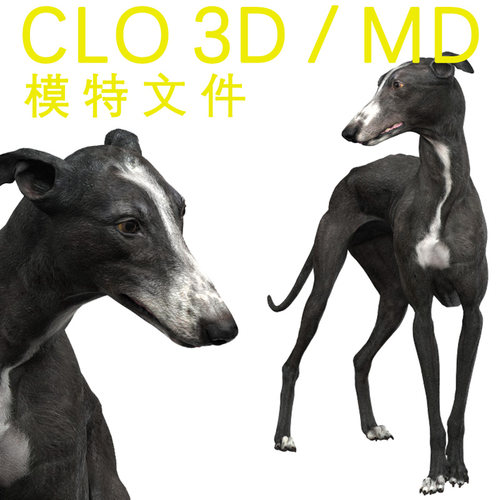 CLO3D/MD素材文件3D模特素材3D动物模型狗狗模型灵缇犬模型