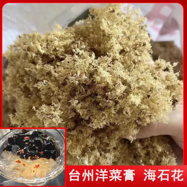 台州野生洋菜膏洋菜糕青草湖小海石花草凉粉毛衣大陈岛四果汤凉菜