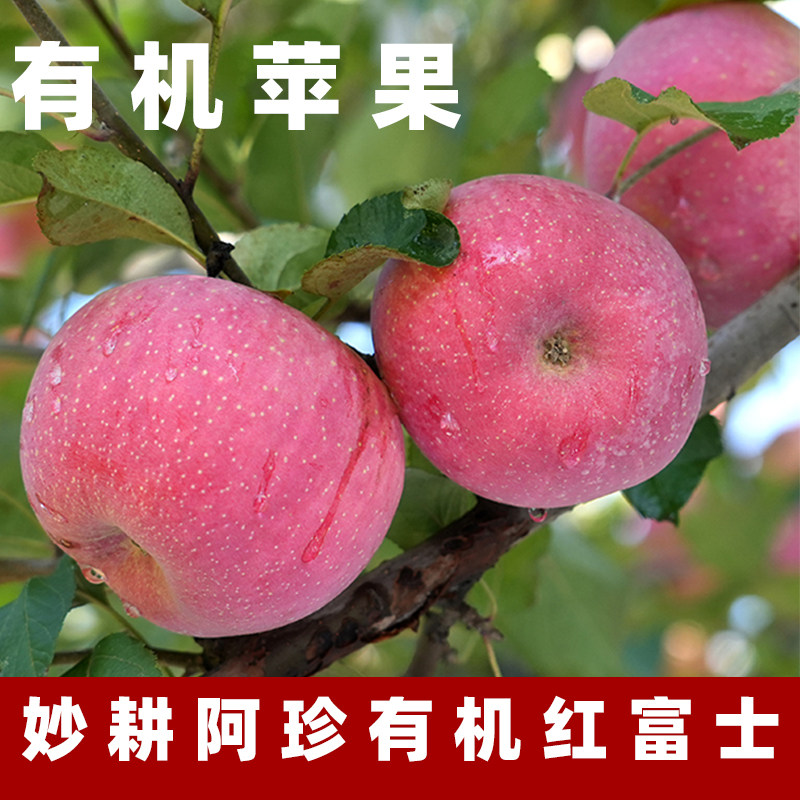 妙耕阿珍有机富士水果新鲜有机苹果当季红富士冰糖心脆甜苹果纯素