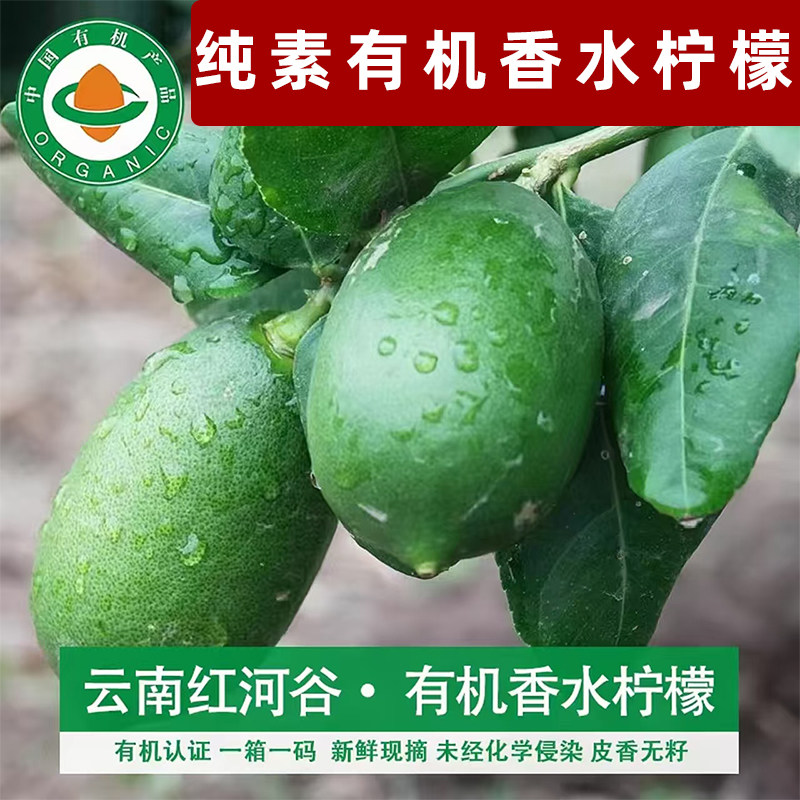 纯素有机香水柠檬新鲜水果云南正宗香水柠檬无籽有机柠檬皮薄多汁