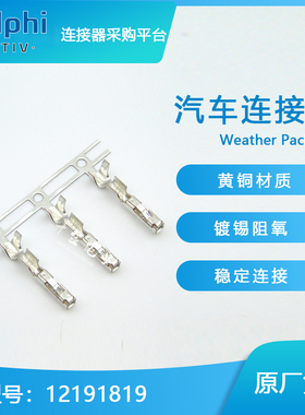 12191819千金电子供应Delphi/德尔福连接器端子进口接插件