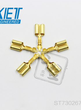 ST730267-1供应KET端子现货量大从优