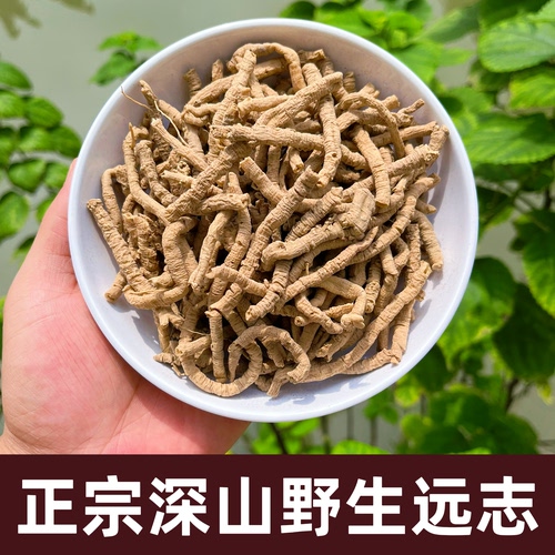 深山野生去芯远志500g益智煲汤