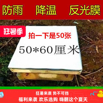 2026精品养蜂工具蜂箱大盖反光防水隔热膜蜂箱防雨布50张48元包邮