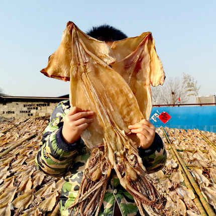 淡晒野生鱿鱼干1000g两斤4到7只左右微盐尤鱼干尤鱼干货煲汤炒菜