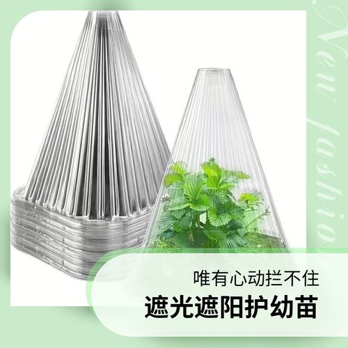 育苗专用保护罩遮阳防虫鸟