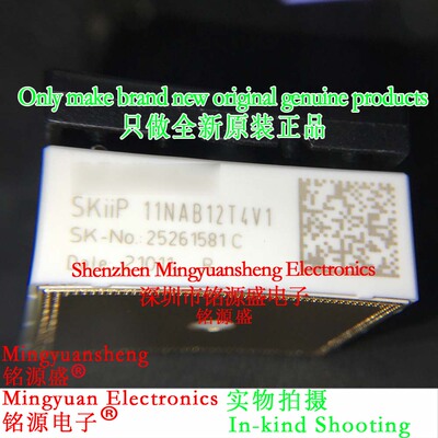 铭源盛 全新原装正品 SKIIP11NAB12T4V1 11NAB12T4V1 模块 IGBT