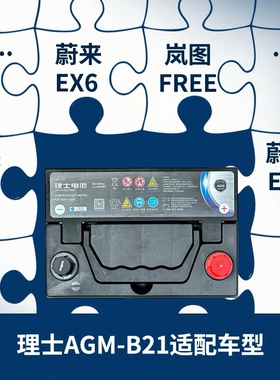 蔚来 EC6 电动汽车新能源辅助蓄电池理士AGM-B21L 40AH 原装电瓶