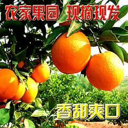 正宗赣南寻乌脐橙自家果园现采现发包邮顺丰新鲜水果江西橙子10斤