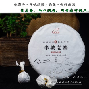 2022头春茶王地古树普洱生茶南糯山半坡老寨勐海大叶种茶农自产