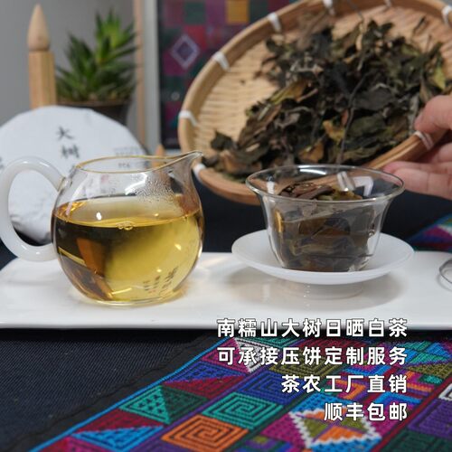 【2025早春大树白茶】南糯山石头寨茶农自产云南大叶种日晒香甜爽