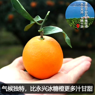 东江湖冰糖橙清江橙子10斤新鲜比永兴冰糖橙子多汁甜孕妇应季水果