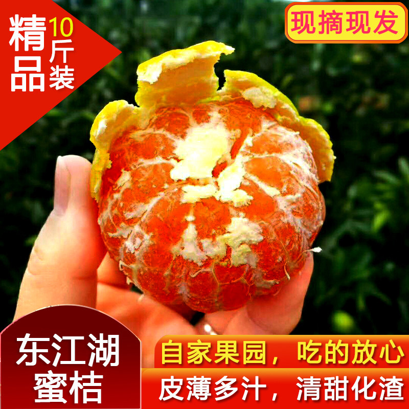 东江湖蜜桔清江橘子10斤新鲜酸甜蜜橘孕妇应季青黄皮水果包邮特产