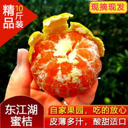 东江湖蜜桔清江橘子10斤新鲜酸甜蜜橘孕妇应季青黄皮水果包邮特产