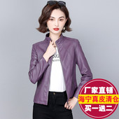 真皮皮衣女短款 修身 韩版 2025秋冬新款 立领绵羊皮夹克大码 显瘦外套