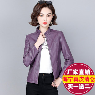 立领绵羊皮夹克大码 2025秋冬新款 韩版 修身 显瘦外套 真皮皮衣女短款