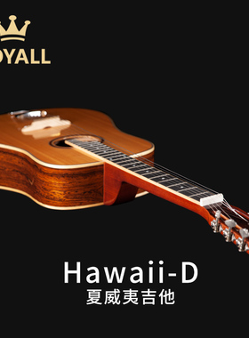 ROYALL 夏威夷吉他滑棒吉他hawaii guitar方琴颈lapsteel横着弹