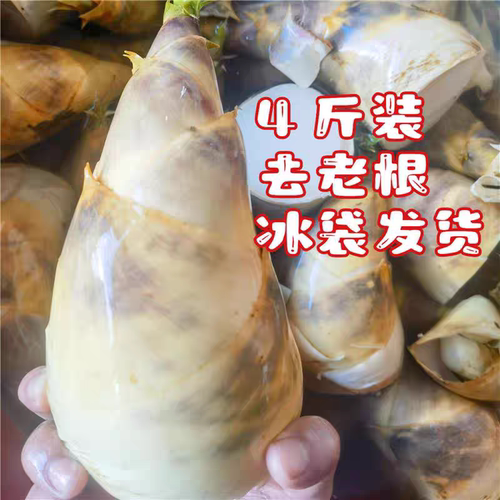 2026竹笋新鲜现挖马蹄笋甜笋台湾绿竹笋脆嫩爽口去老根饭店批发