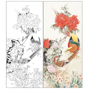 【有步骤】陈军工笔画白描稿《锦上添花》山茶花锦鸡花鸟线稿CJ09