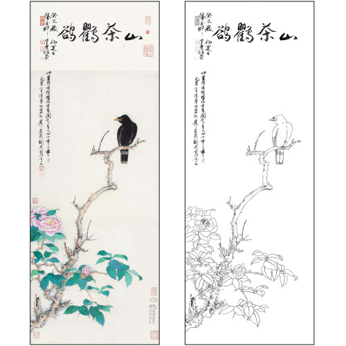 谢稚柳花鸟工笔画白描底稿《山茶鸜鹆》临摹勾线高清打印稿XZ48
