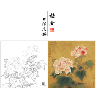 【大彩图】李晓明工笔画白描底稿斗方红芙蓉花临摹花鸟线稿K111