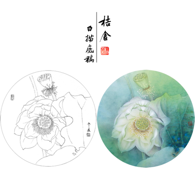 步骤图工笔画白描底稿