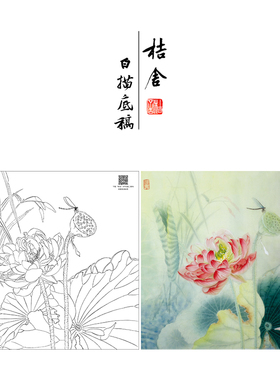 【大彩图】工笔画白描底稿小品《妍姿俏丽》荷花临摹花鸟线稿HD21