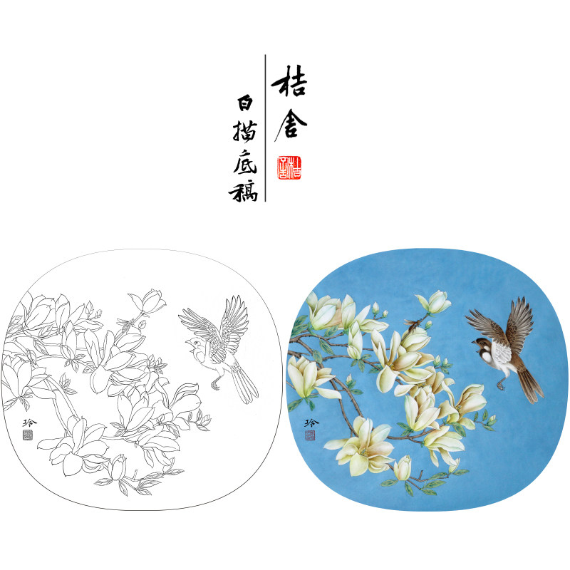 【有步骤,大彩图】郑玲玲工笔画白描底稿广玉兰《逐争春色》zl66