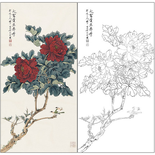于非闇花鸟工笔画白描底稿《大富贵亦寿考》临摹高清打印稿HS12