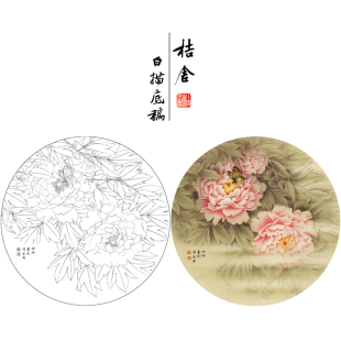 郑玲玲工笔画白描底稿小品 大彩图 牡丹蝴蝶图 有步骤 ZL11