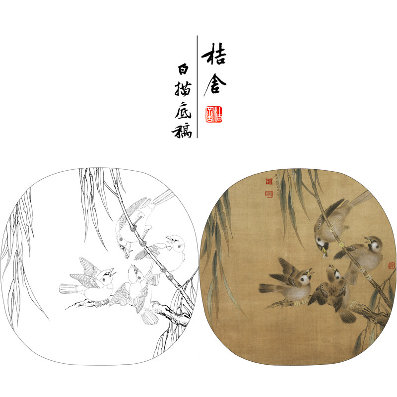 【有步骤,大彩图】工笔画白描底稿雀鸟《临宋杨柳乳雀图》kc12