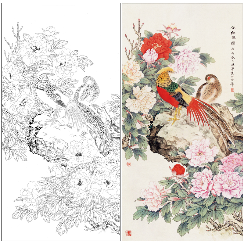 【有步骤】陈军工笔画白描底稿锦鸡牡丹多种尺寸《依红理绣》cj27