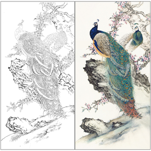 【有步骤】陈军工笔画白描底稿《春光明媚》孔雀临摹花鸟线稿CJ31